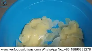 Multi Functional Potato Chips Root Vegetable Slice Strip Cutting Machine Test for Mexico Customer