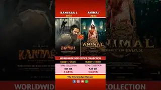 kantara chapter 1 vs animal movie comparison of box office collection 5 days worldwide #kantara