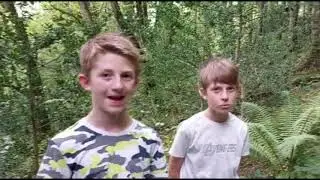 The Wood Wide Web