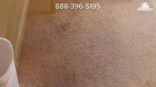 Deep Carpet Cleaning | USA Clean Master