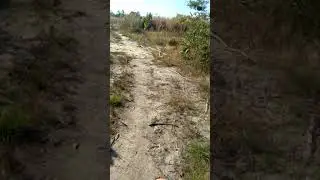 Motorbike Trips in the Jungle