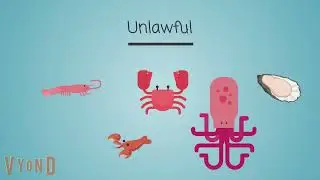 Clean & Unclean Food