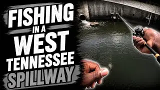 FISHING IN A WEST TENNESSEE SPILLWAY