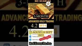 HASIL 3 BULAN DAN DD EA ADVANCED GOLD TRADING V4.2
