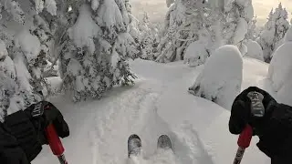 Mad River Glen Feb 2025