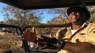 Ongava Lodge