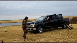 Migratory & Resident Game Bird Hunting Decoy Set Up
