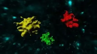 3D imaging may show cause of Alzheimer&rsquo;s disease