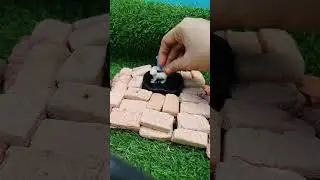 sheep 🐑#oddlysatisfying