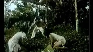 Psycho Surgeons - Horizontal Action