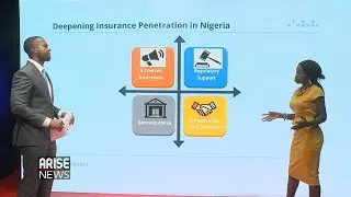 Nigeria Insurance sector gets big boost - Afrinvest Securities