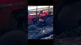 Massey Ferguson 244 Di 4x4 tractor stuck in mud rescue by Swaraj #tractor #shorts #shortvideo