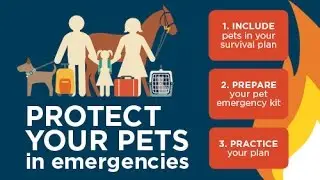 RSPCA South Australia Pet Emergency Plan