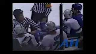 NHL Oct. 25, 1989 Hartford Whalers v Quebec Nordiques (R) Ed Kastelic v Ken McRae