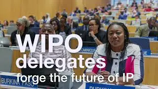 WIPO Assemblies 2019