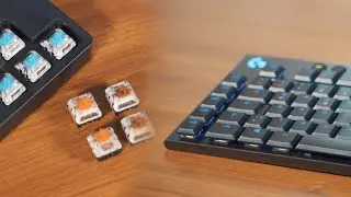 Logitech Gaming Switches im Überblick - Pro & G815 Keyboard