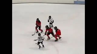 Recap of my first year peewees
