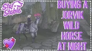 Buying a Jorvik Wild Horse at night? || StarStableOnline