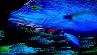 DAAY - Tiny Box (live at Shacklewell Arms) Jan 2022
