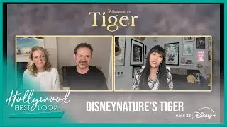DISNEYNATURE'S TIGER (2023) | Interviews with Mark Linfield, Vanessa Berlowitz, and Roy Conli