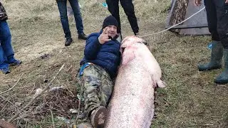 &Icirc;ncă o zi la clonc pe Dunăre 
