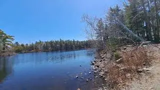 Kearney lake