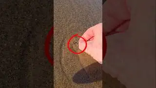 Small coin - Big money...