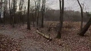 Lake Trail at Pickerel Lake Park, Sunny Fall Hike | Full Hike POV | Nature ASMR | Kent, MI