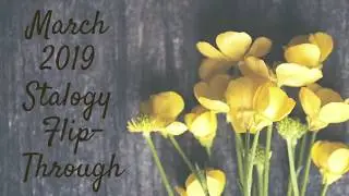 March 2019 Stalogy Flip | First Month!