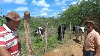 BASTINHO O FAZEDOR DE CERCA DE ARAME FARPADO,SÍTIO LIVRAMENTO,SOLEDADE,PB.