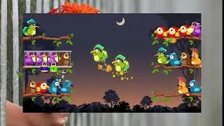 Bird Sort 1 Color Puzzle Game 18
