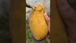 Ripe Mango