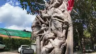 Chiang mai walking street