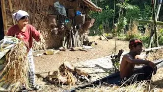 Harvest Season 2024 ||Morung Boys at Chief Ahng Field || Agrarians Culture