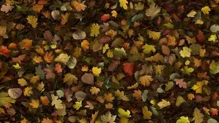 Falling Leaves Fill Screen Overlay