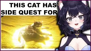 I LOVE CAT MEMES SO MUCH | Dumas Reaction