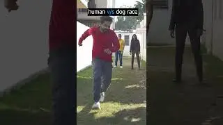 Human Vs Dog #shorts #challenge