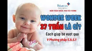 [WW37] WONDER WEEK 37 TUẦN ở trẻ v&agrave; những điều ba mẹ cần biết | Easy Nu&ocirc;i con NH&Agrave;N T&Ecirc;NH