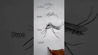 how to draw a mosquito 🦟😯🔥 #art #drawing #youtubeshorts #shorts #viral #@ArtwithBir_9