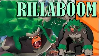Enter Rillaboom! Grassy Surge Hidden Ability! How to Teambuild and Using Rillaboom- Pokemon Showdown