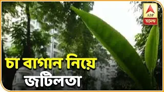 Reporter Stories: Labourer unrest at tea garden in North Bengal