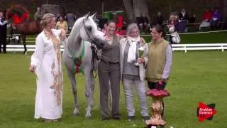 2ND N.57 SUZANNA - Scandinavian Open Championship 2017 - Senior Mares Championship (Class 37)
