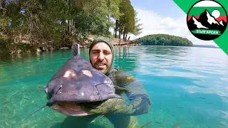 Укус от гигантски сом в Тенеси! Ловене с голи ръце и истинска опасност! 🐟