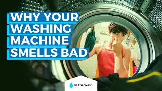 Why Your Washing Machine Smells Bad - Causes and Solutions