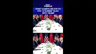 ''Don't Always See Eye To Eye': Xi & Trump Praise Each Other During Bilateral Talk