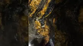 +37129146067