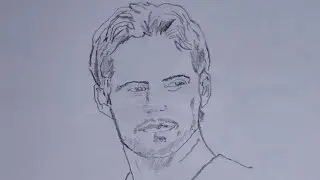 Paul Walker Pencil Portrait | Realistic Drawing | Shamil Arts