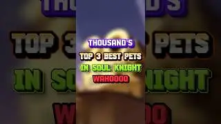 TOP 3 BEST PETS IN SOUL KNIGHT WAHOOOO #soulknight