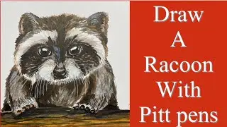 How to draw a racoon with Pitt pens
