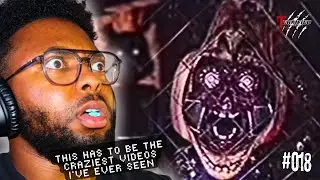 THE SCARIEST VIDEOS YOU WILL EVER SEE!!! [Terrified Tuesday #018]
